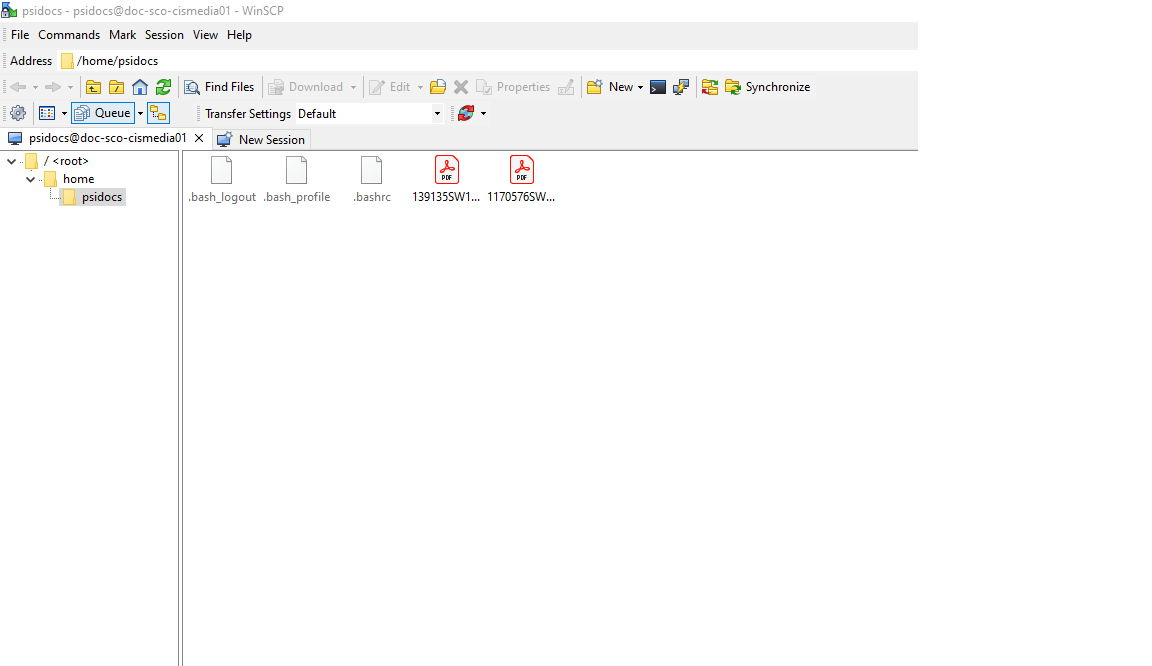 Winscp No Desktop Button.png